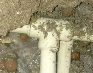 宁化测漏水多少钱