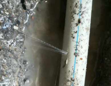 宁化测漏水哪家好