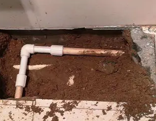 宁化测漏水哪家好