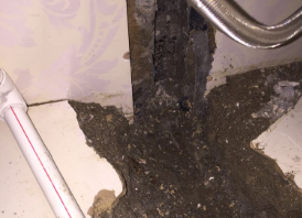 宁化卫生间测漏水哪家好