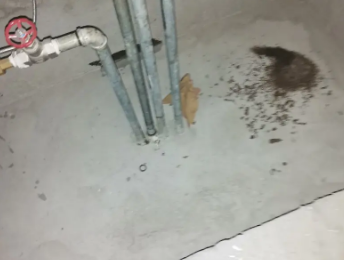 宁化卫生间测漏水价格明细