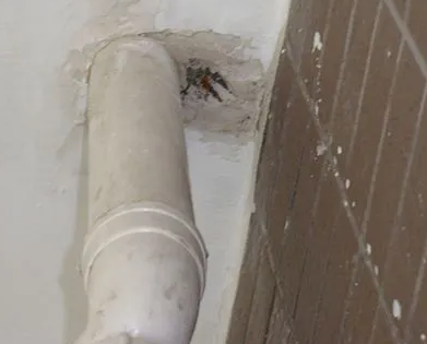 宁化漏水检测哪家好